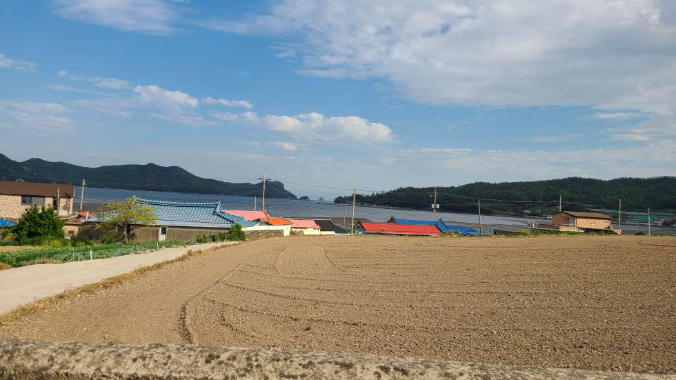 전남광주 진도군 임회면 죽림리 바다가 조망좋은 농어가주택 및 전(하우스2동) 매매 매물번호 10119 사진 5