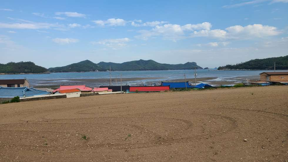전남광주 진도군 임회면 죽림리 바다가 조망좋은 농어가주택 및 전(하우스2동) 매매 매물번호 10119 사진 6
