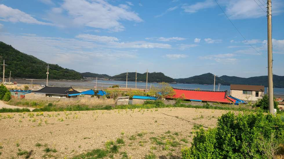 전남광주 진도군 임회면 죽림리 바다가 조망좋은 농어가주택 및 전(하우스2동) 매매 매물번호 10119 사진 7