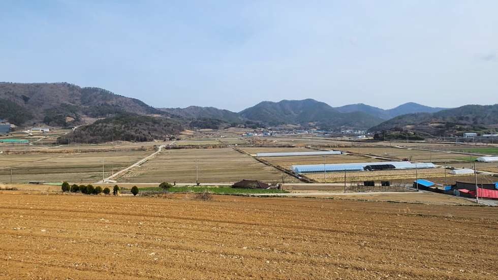 전남광주 진도군 군내면 월가리 진도읍에서 가까운 농막 설치 가능한 농장용지 매매 매물번호 10231 사진 1