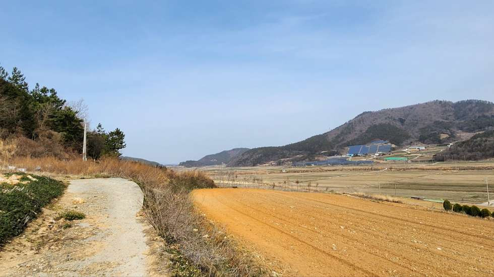 전남광주 진도군 군내면 월가리 진도읍에서 가까운 농막 설치 가능한 농장용지 매매 매물번호 10231 사진 2