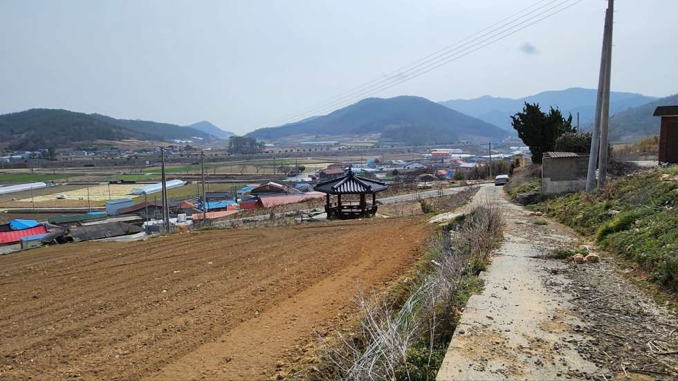전남광주 진도군 군내면 월가리 진도읍에서 가까운 농막 설치 가능한 농장용지 매매 매물번호 10231 사진 3