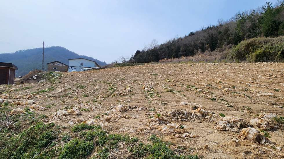전남광주 진도군 군내면 월가리 경관좋은 고지대의 농장용지 매매 매물번호 10232 사진 1
