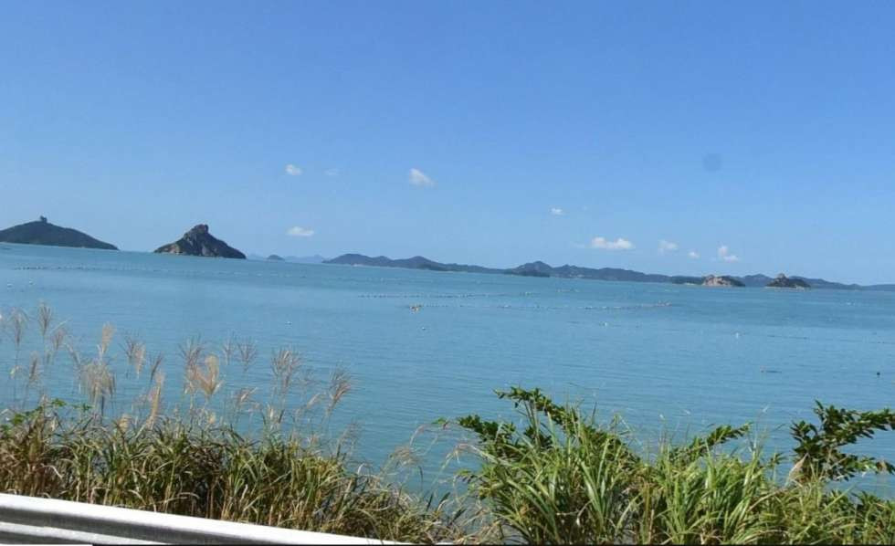 전남광주 진도군 지산면 보전리 해안일주도로에 접한 펜션용지 매매 매물번호 10247 사진 3