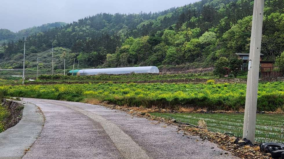전남광주 진도군 임회면 죽림리 해안경관 좋은 전원주택용지 (분할매매가능) 매매 매물번호 10244 사진 1