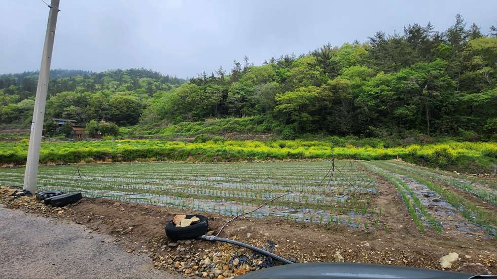 전남광주 진도군 임회면 죽림리 해안경관 좋은 전원주택용지 (분할매매가능) 매매 매물번호 10244 사진 2