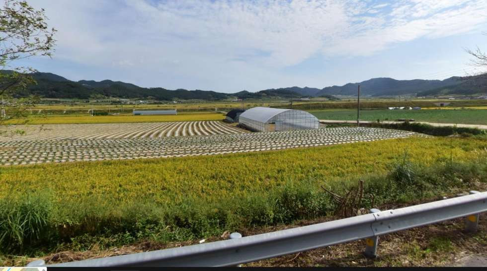 전남광주 진도군 진도읍 포산리 2차선 도로에 접한 계획관리지역내 주택용지 매매 매매 매물번호 10274 사진 2