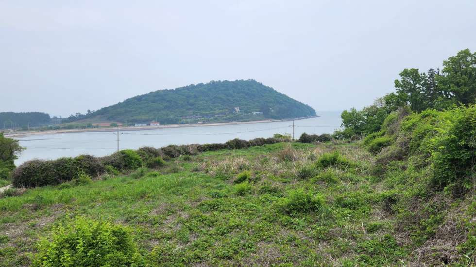 전남광주 진도군 고군면 원포리 해안도로에 접한 계획관리지역내 토지 매매 매매 매물번호 10330 사진 3