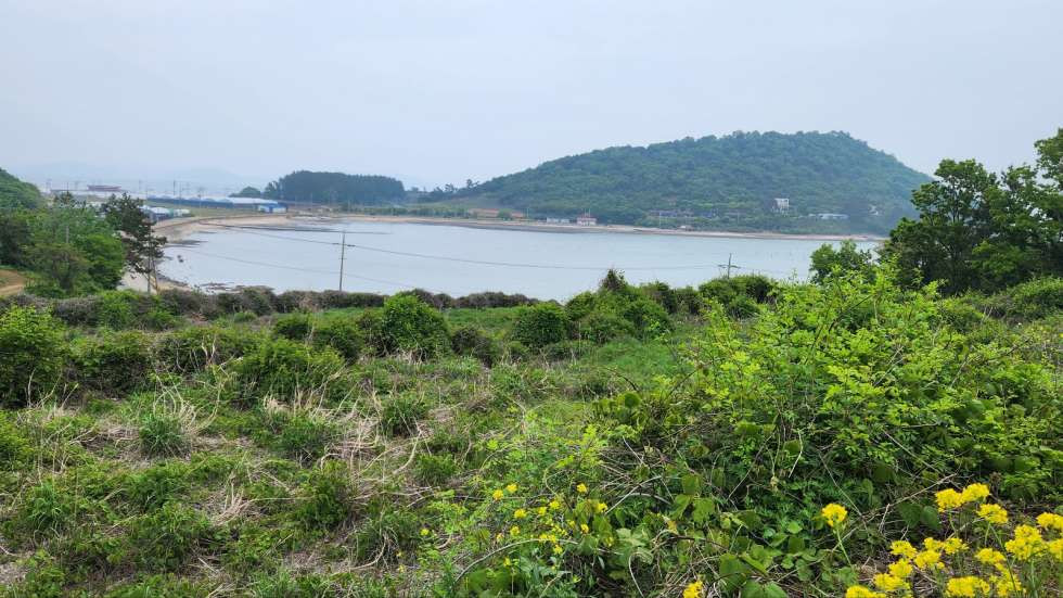 전남광주 진도군 고군면 원포리 해안도로에 접한 계획관리지역내 토지 매매 매매 매물번호 10330 사진 4