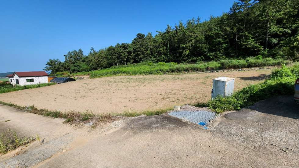 전체배경