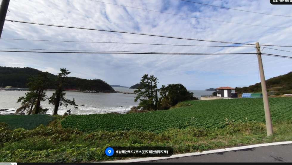 정면