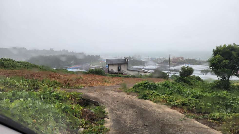 측면