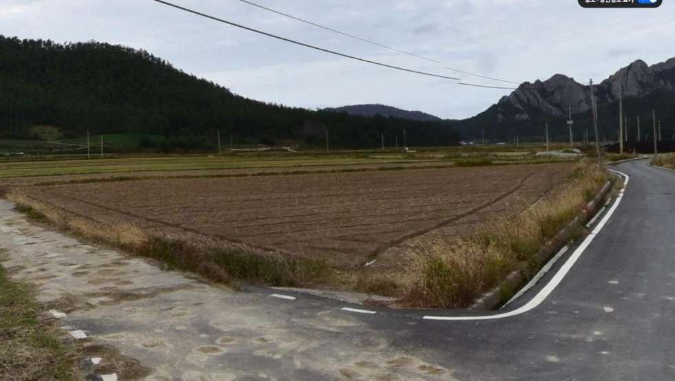 전남광주 진도군 지산면 오류리1065-4 농업진흥구역내 논 매매 매매 매물번호 10362 사진 1