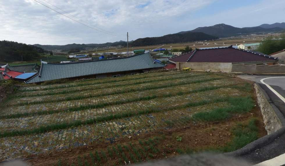 전남광주 진도군 임회면 삼막리 농촌전경있는 나대지 매매!! 매매 매물번호 10391 사진 1