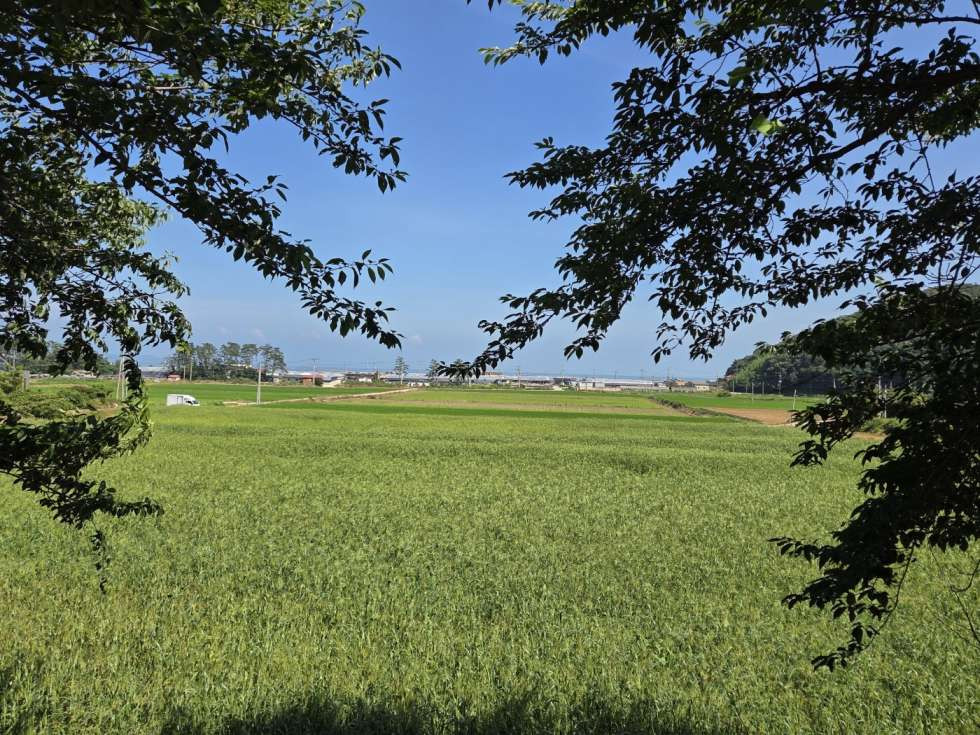 전남광주 진도군 고군면 향동리 해안풍경 좋고 지방도에 접한 계획관리 토지매매!! 매매 매물번호 10409 사진 2