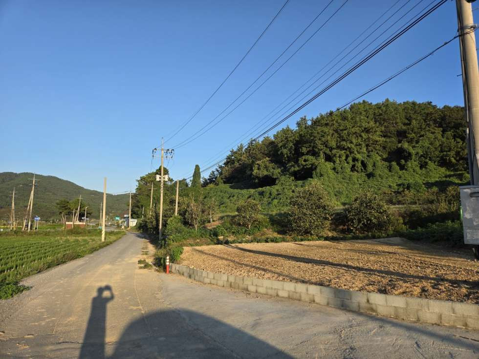 전남광주 진도군 임회면 고정리 지방도에 접한 농장(하우스,켄테이너 ,냉장고 일체)매매!! 매매 매물번호 10435 사진 1