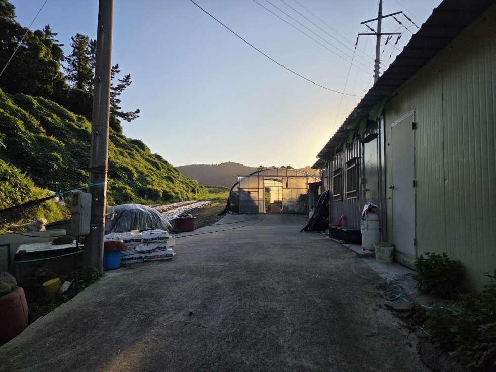 전남광주 진도군 임회면 고정리 지방도에 접한 농장(하우스,켄테이너 ,냉장고 일체)매매!! 매매 매물번호 10435 사진 6