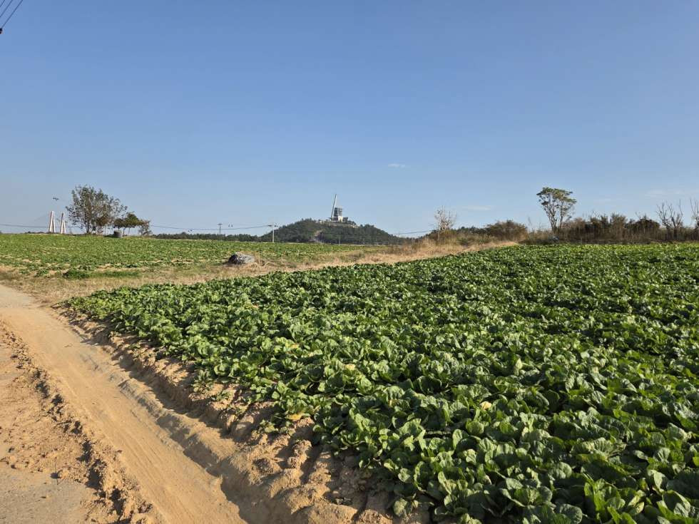 전남광주 진도군 군내면 녹진리 4차선도로(군내산단로)에 접한 계획관리지역내 토지매매 매매 매물번호 10441 사진 1