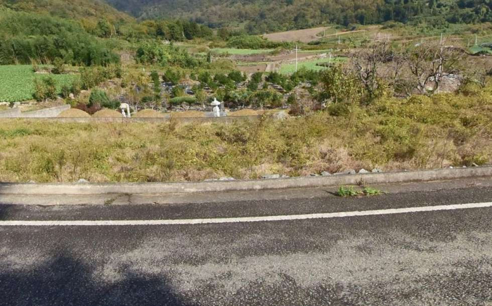 전남광주 진도군 고군면 향동리 주변경관 좋은 토지(농장,묘지..) 매매 매물번호 10449 사진 3