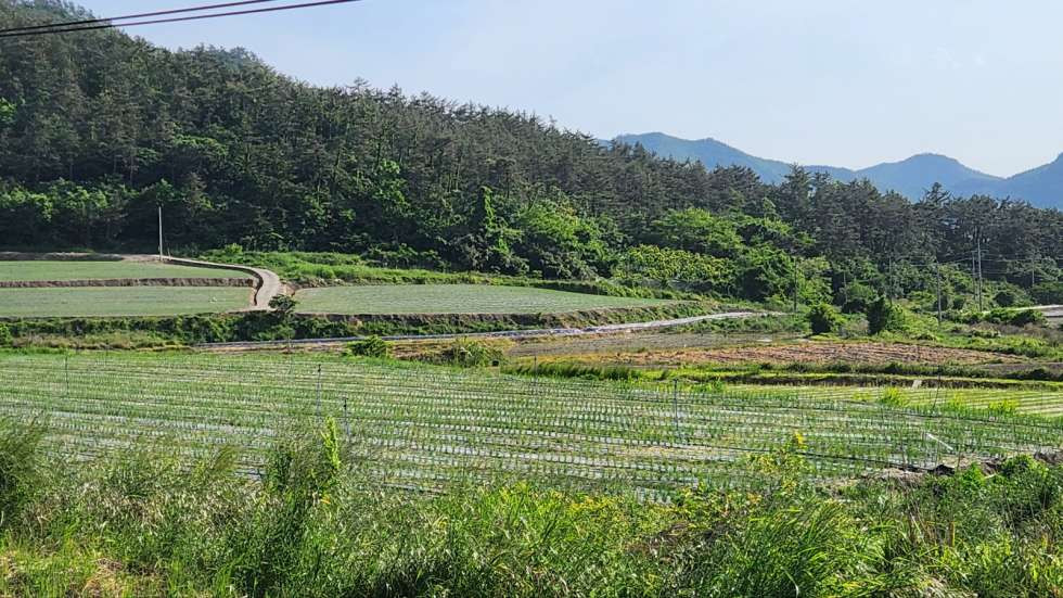 물건1