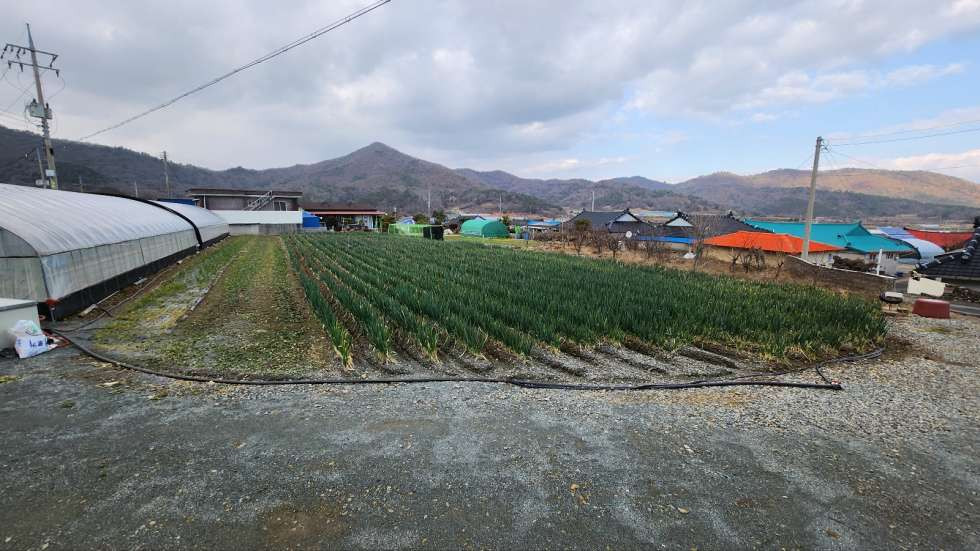 측면
