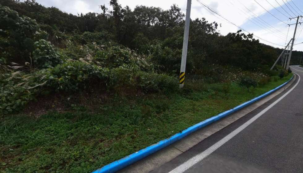 전남광주 진도군 진도읍 수유리 해안일주도로에 접한 평탄한 임야 매매! 매매 매물번호 10461 사진 2