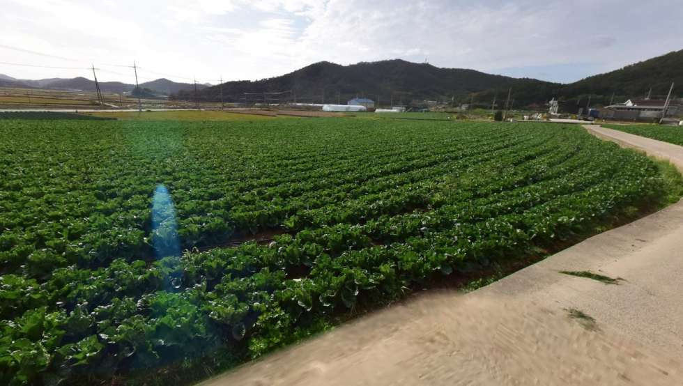 전남광주 진도군 의신면 연주리 전원풍경있는 마을 토지 매매! 매매 매물번호 10467 사진 1