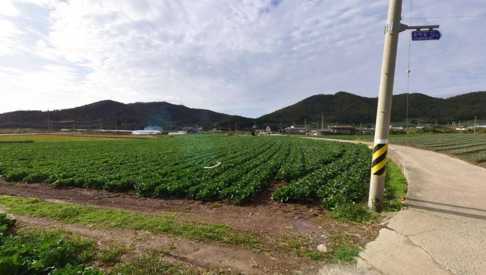 전남광주 진도군 의신면 연주리 전원풍경있는 마을 토지 매매! 매매 매물번호 10467 사진 2