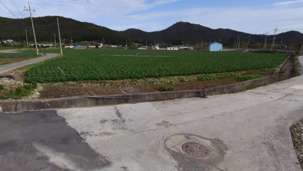 전남광주 진도군 의신면 연주리 접근성 좋은 농촌마을의 토지 매매! 매매 매물번호 10468 사진 2