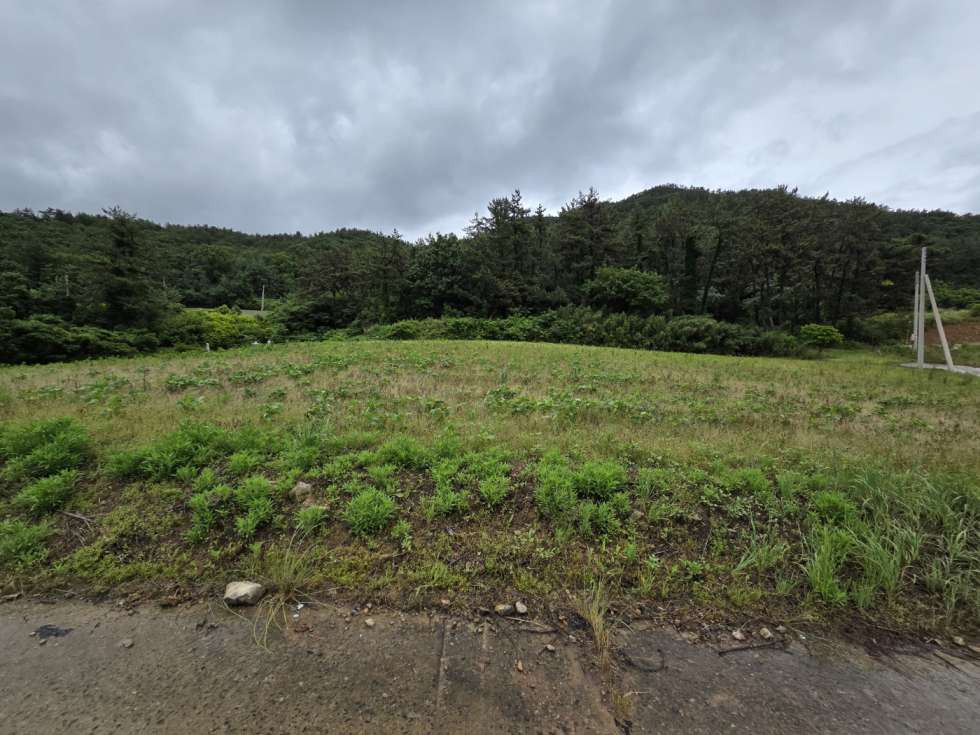전남광주 진도군 진도읍 염장리 진도읍 근교 조망좋은 전원주택용지 매매! 매매 매물번호 10498 사진 1
