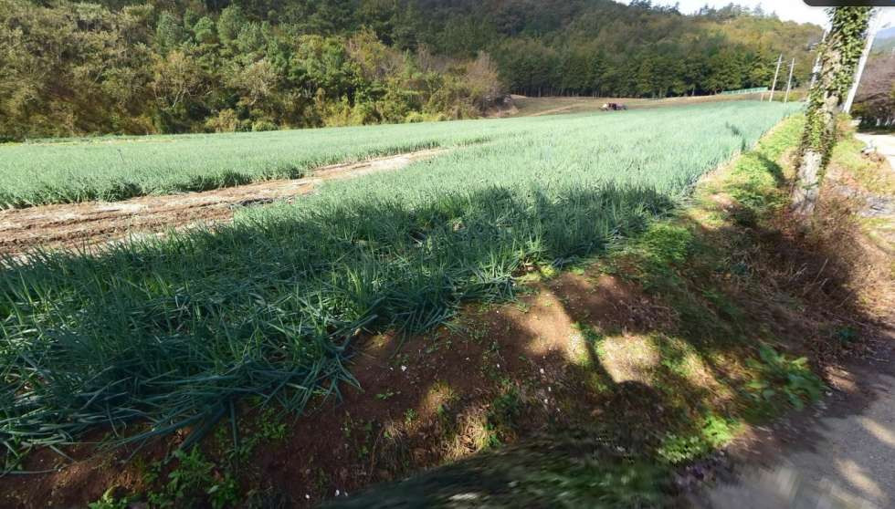 전남광주 진도군 의신면 칠전리 농업보호구역내 친환경농업가능한 농지 매매!! 매매 매물번호 10522 사진 2